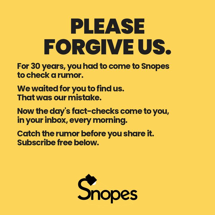 Yellow ad: Please forgive us